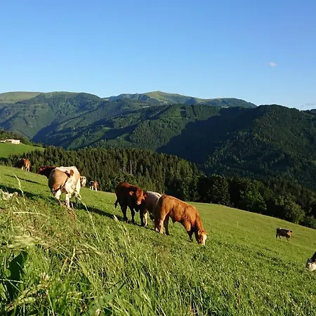 Apartamento Bauernhof Juri