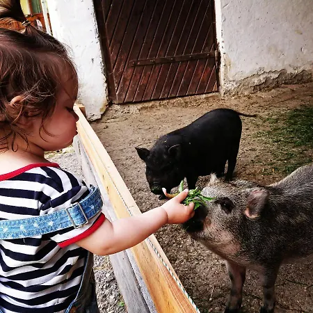 Bauernhof Juri Obergösel