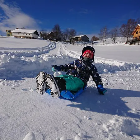 Bauernhof Juri * Obergösel