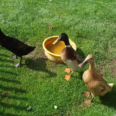 Apartament Bauernhof Juri Obergösel