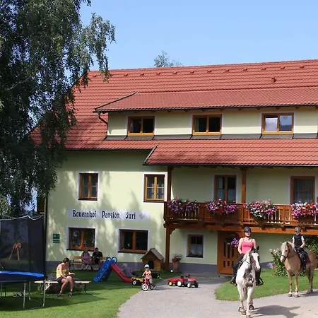 Bauernhof Juri Apartment Obergosel