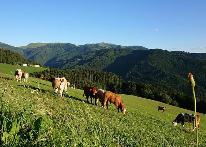 Apartament Bauernhof Juri