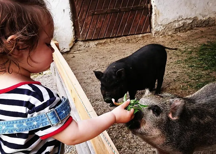 Bauernhof Juri Obergösel