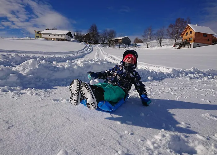 Bauernhof Juri * Obergösel