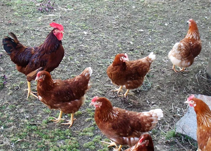 Apartament Bauernhof Juri *