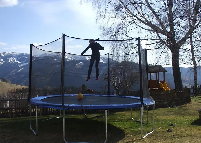 Bauernhof Juri Obergösel