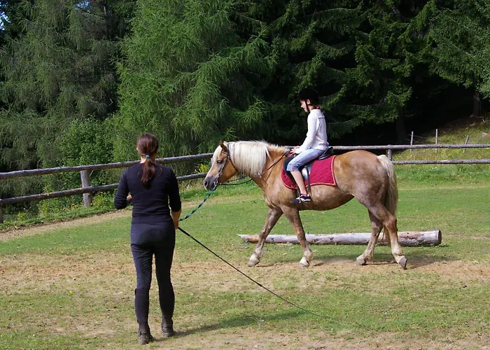 Bauernhof Juri * Obergösel